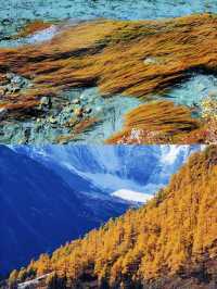 10.28實拍live~稻城亞丁秋色爆表!美到窒息