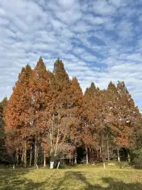 12.4西溪谷漫遊道5km徒步|路線+出片點+tips