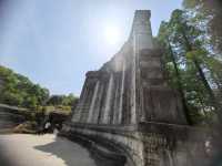 南京音樂台白鴿治癒時刻｜紫金山必打卡地標