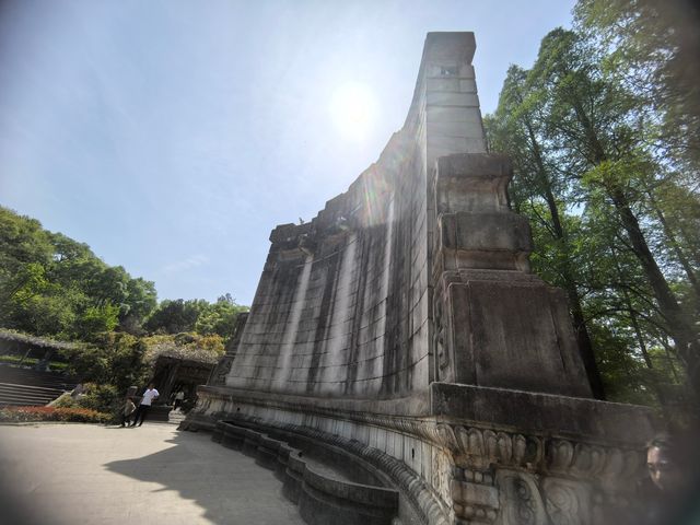 南京音樂台白鴿治癒時刻｜紫金山必打卡地標