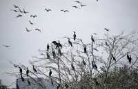 廈門版「瘋狂動物城」上線!山林湖海間,藏著人與自然共生的浪漫