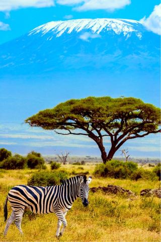 12-Day Winter Multi-Country Tour Including Kenya—Amazing