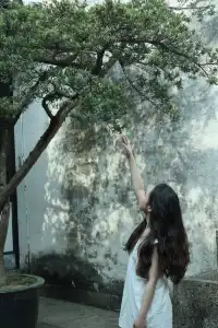 去迅哥家,從進門開始就一直在出片