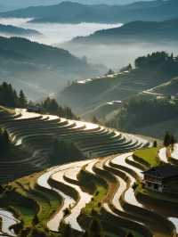 雲和梯田親子冬遊|免排隊看霧淞日出攻略