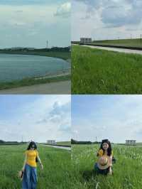 佛山小新疆治癒遊