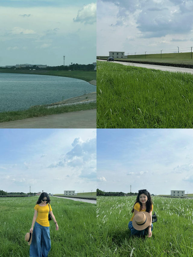 佛山小新疆治癒遊 佛山小新疆治癒遊