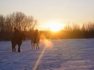 Duerbote: ขี่ม้าท่ามกลางหิมะ บดขยี้พระอาทิตย์ตกดินบนพื้นดิน