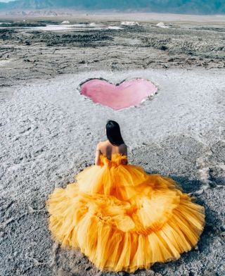 Follow "The Tree of Life" to tour the Qinghai-Gansu Loop