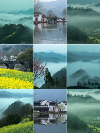 ชิตันและเฉิงคาน | ถึงเวลาอีกครั้งแล้วที่ดอกเรพซีดจะบานสะพรั่งทั่วเนินเขา...