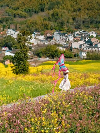 It's a pity you didn't come to Ningbo, or you wouldn't know how beautiful the little Wuyuan of Eastern Zhejiang is
