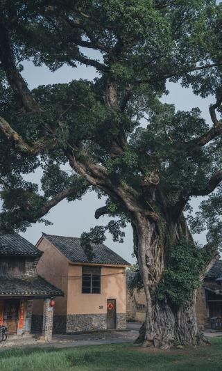 沒想到！廣東還有這麼原生態的隱秘小城