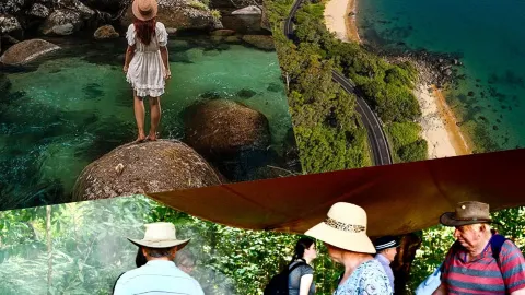 The world’s oldest rainforest! A must-visit Daintree Rainforest day tour from Cairns — traveler post in Cape Tribulation