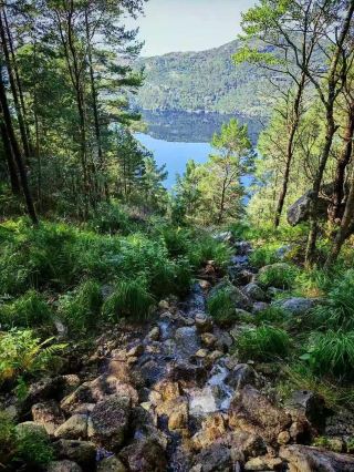 Norway Preikestolen hiking guide｜Face the majestic Lysefjord