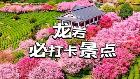 7 Must-Visit Attractions in Longyan to Explore in One Go Without Detours — traveler post in Wuping