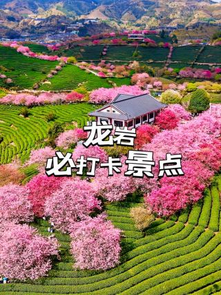 7 Must-Visit Attractions in Longyan to Explore in One Go Without Detours