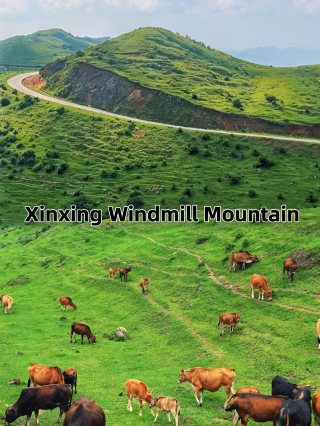 Guangdong's Altay | 3 hours to alpine meadows, a date with the sea of clouds and windmills