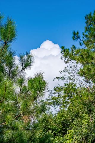 Quanzhou weekend getaway guide | Hiking in the mountains + relaxing at the hotel, pure bliss!