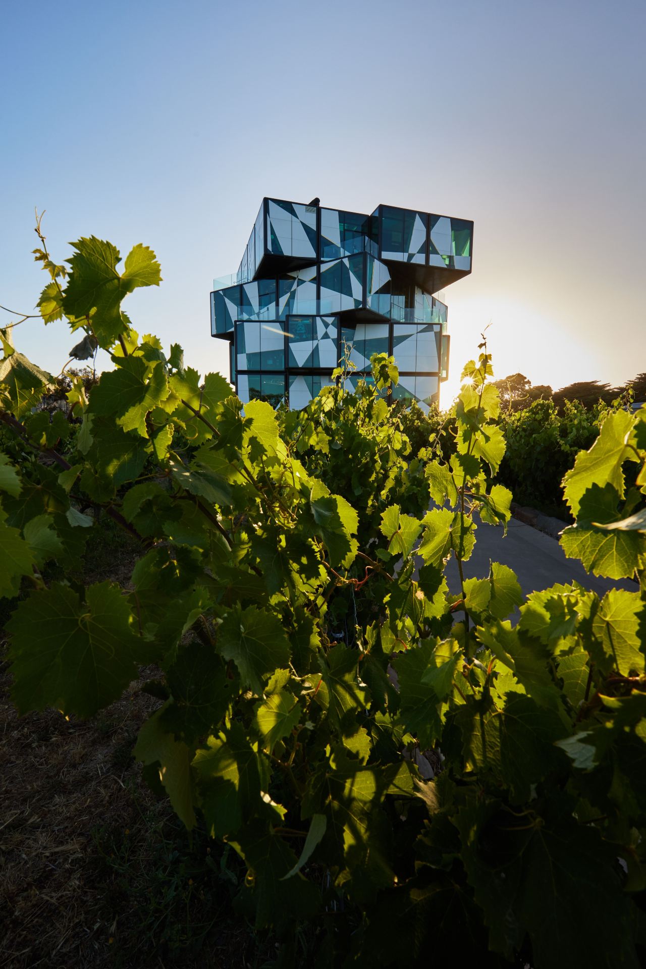 Rejuvenate with sea breezes and a gentle buzz! Your Fleurieu Peninsula day trip itinerary is here