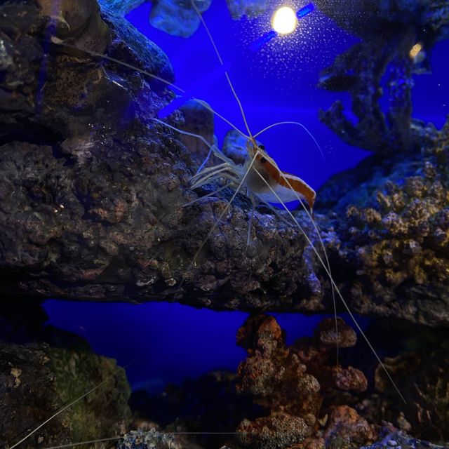 Aquaria KLCC