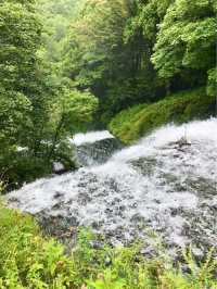 日光の大迫力の滝を間近で鑑賞できる【湯滝】