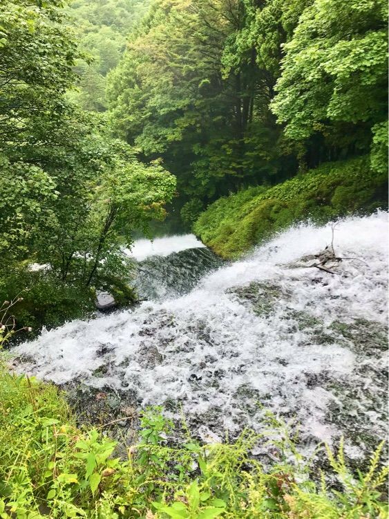 日光の大迫力の滝を間近で鑑賞できる【湯滝】