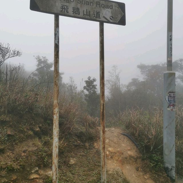 如入仙境