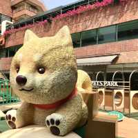 Hot Pet’s Park in Shatin 