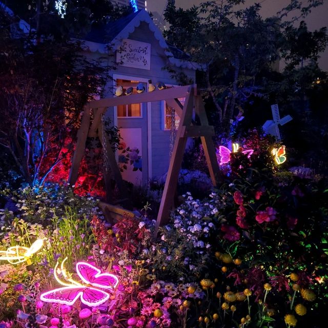 香港花卉展覽2023 - 夜