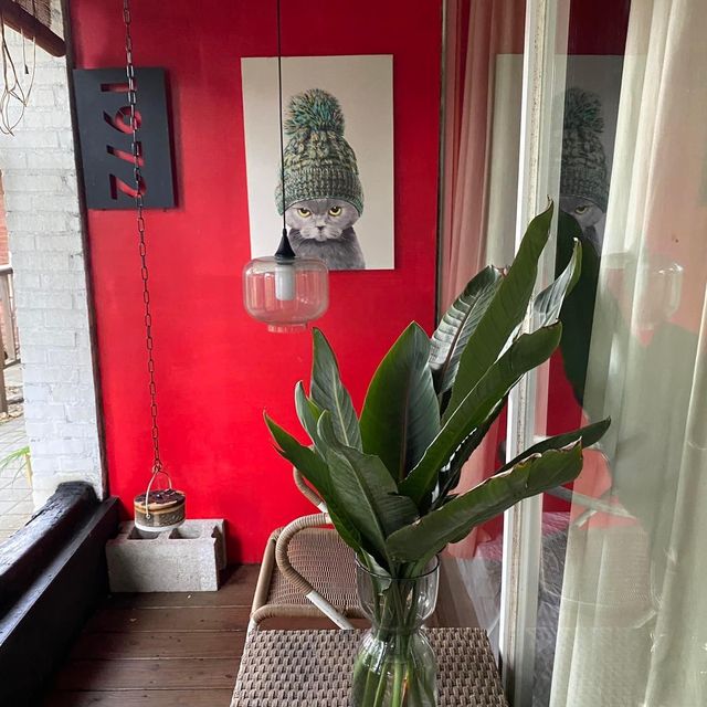 伯朗大道旁的美麗玻璃屋🏠