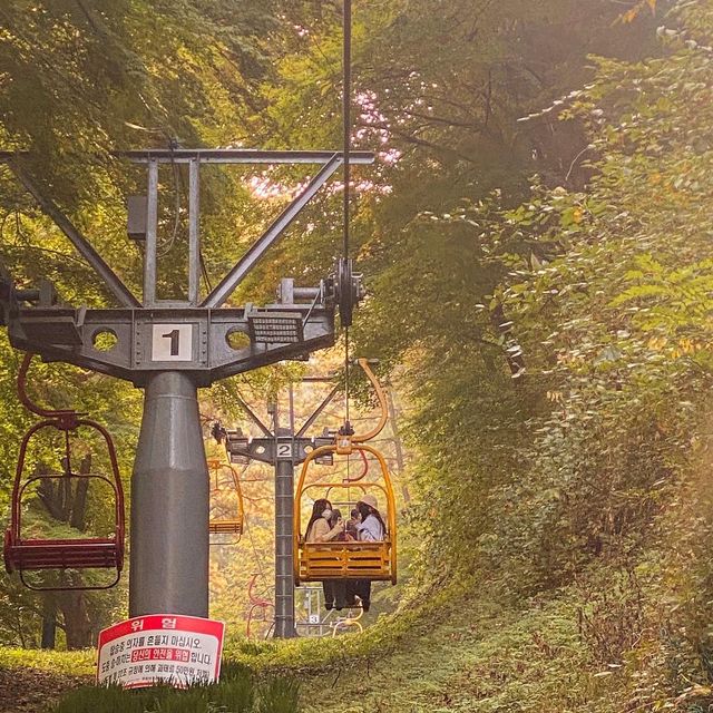 광주 단풍놀이명소 추천, 지산유원지 모노레일 ✨