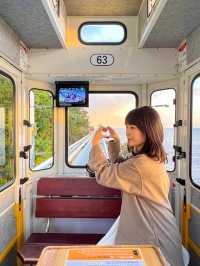 일몰타임에 필수로 탑승해야하는 해운대블루라인파크🚃