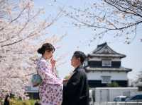 在福岡舞鶴公園拍攝櫻花🌸和服👘情侶照～
