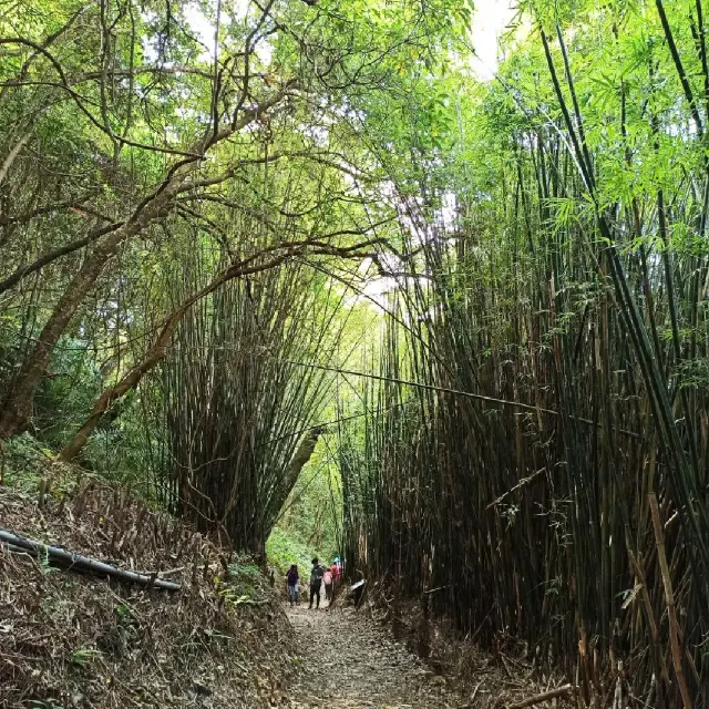 陽明山 - 橫嶺古道 + 松溪瀑布