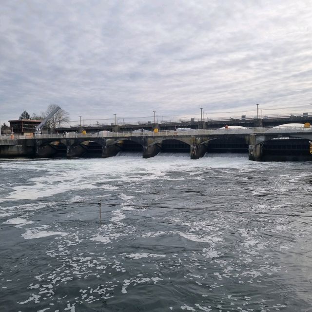 The Famous Ballard Locks, Seattle