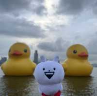 四遇鴨鴨Rubber Duck🤣