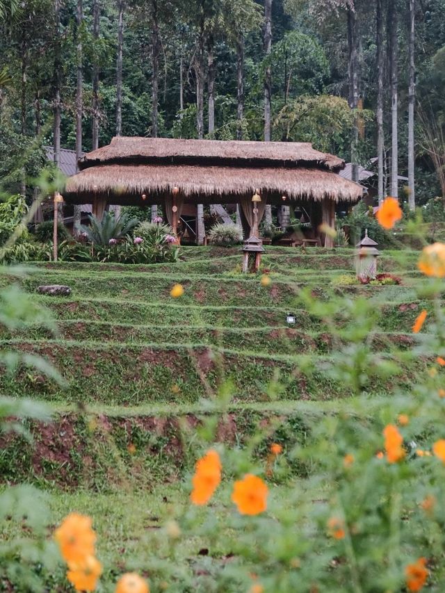 Boklua View Resort บ่อเกลือ วิว รีสอร์ท 🏔️