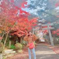 Osaka Minoh Waterfall 