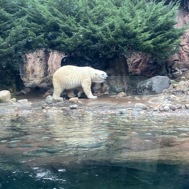 📍よこはま動物園ズーラシア/神奈川県