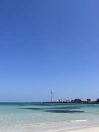 【濟洲島】月汀里果凍海