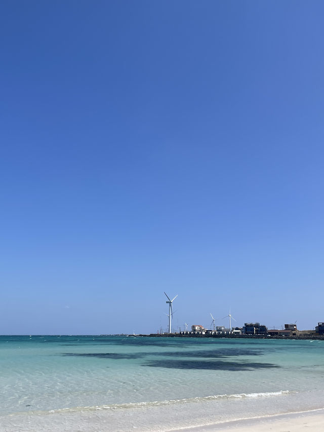 【濟洲島】月汀里果凍海