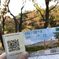 곧 있을 가을 걷기좋은곳