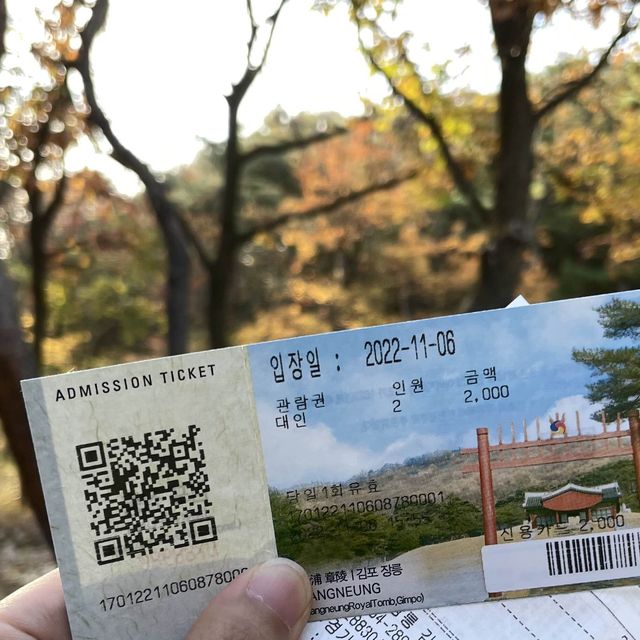 곧 있을 가을 걷기좋은곳