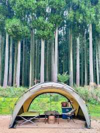キャンプ愛好者の楽園：自然の中での休暇