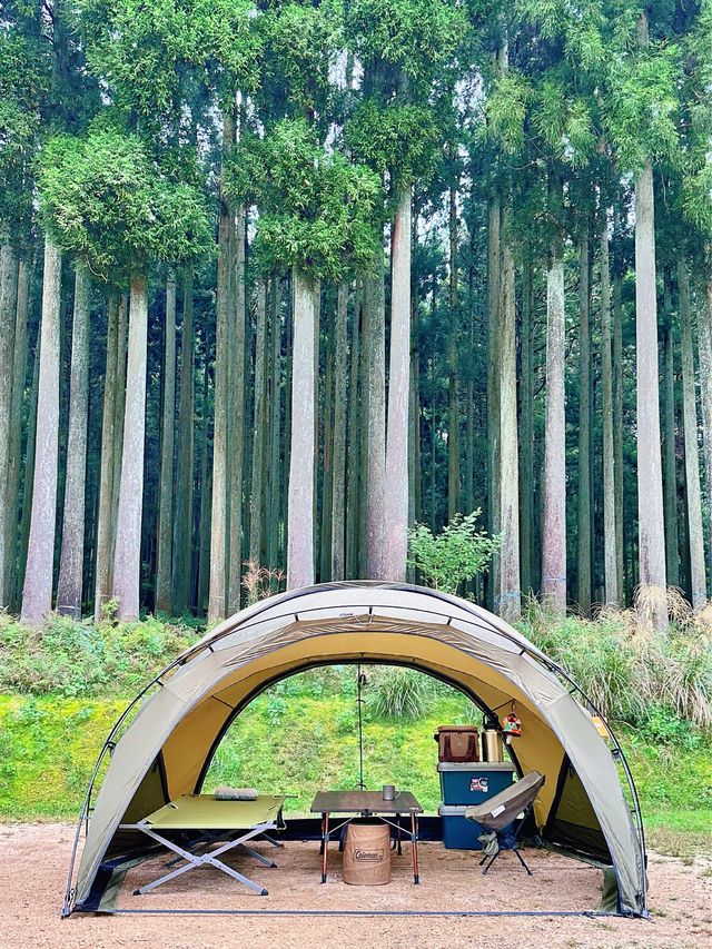 キャンプ愛好者の楽園：自然の中での休暇