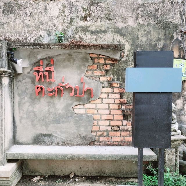 ถนนคนเดินตะกั่วป่า