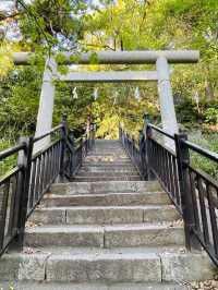 【神奈川県/源頼朝の墓】頼朝を偲ぶ場所