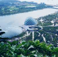 Discover a day in most expensive Country 