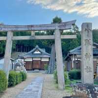 Yasaka Shrine: Centuries Unfolded Grace