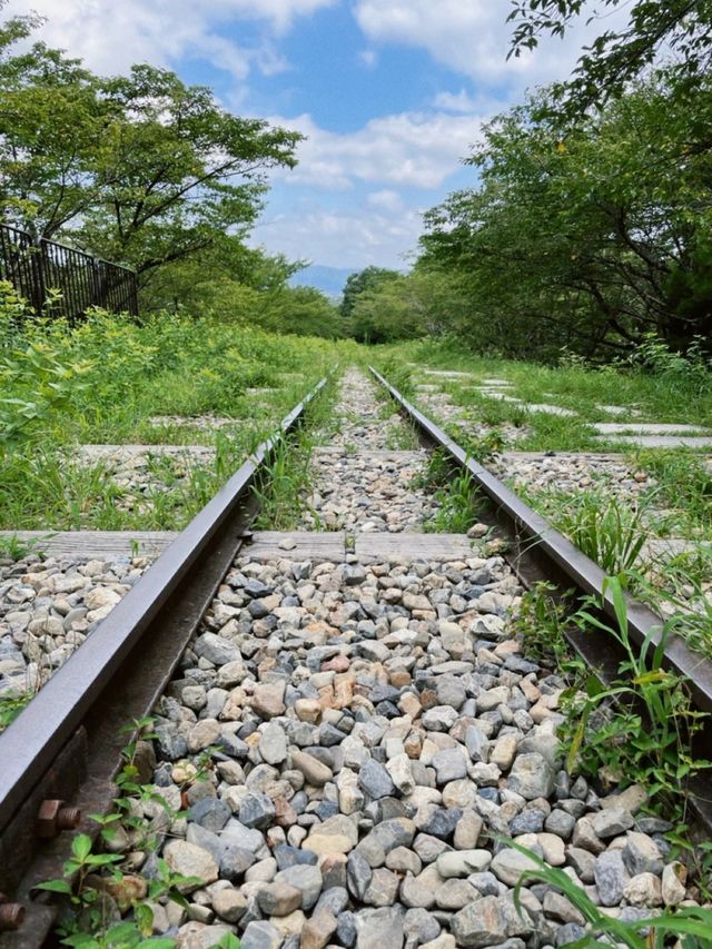 今は使われていない線路🚃エモい廃線跡🫣🤍🫧【京都】