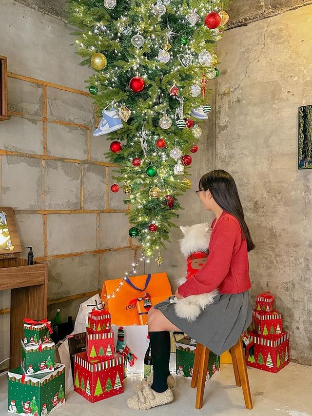 거꾸로 트리와 귀염둥이 만두가 반겨주는 청주 카페🎄♥️